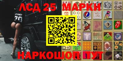 шишки Берёзовский