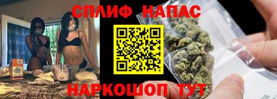 шишки Берёзовский