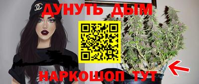 шишки Берёзовский