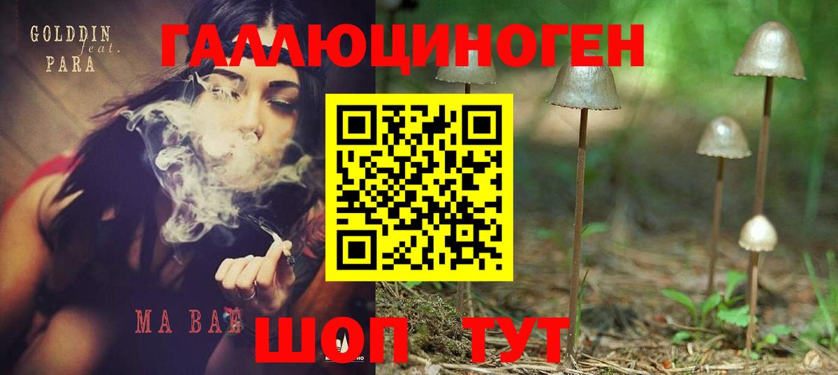 Галлюциногенные грибы Magic Shrooms Канаш