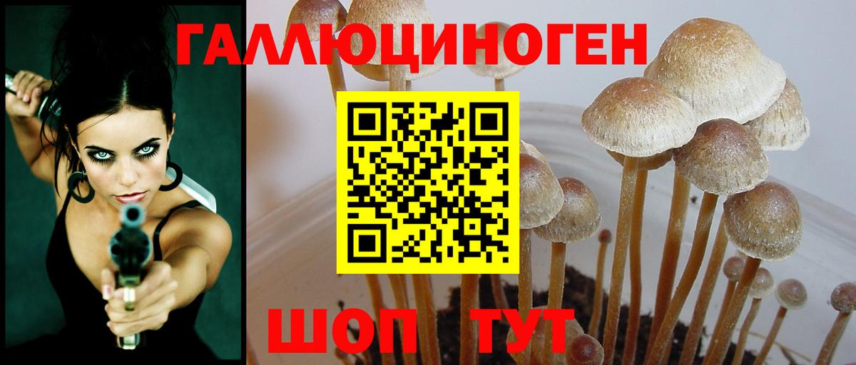 Галлюциногенные грибы ЛСД  цена наркотик  Канаш  Псилоцибиновые грибы мицелий  Вход с VPN 